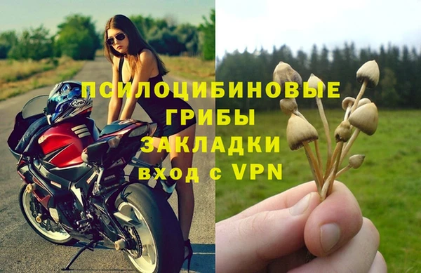 прущая мука Карпинск