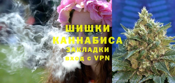 винт Касимов