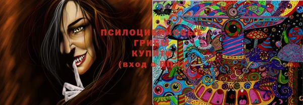 винт Касимов