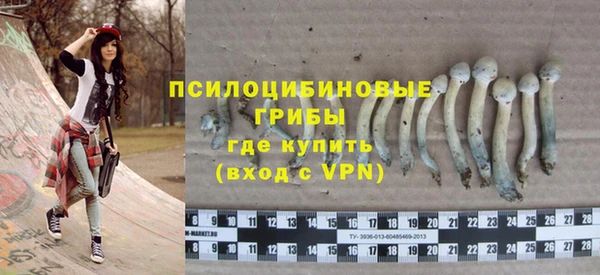 ALPHA-PVP Карталы